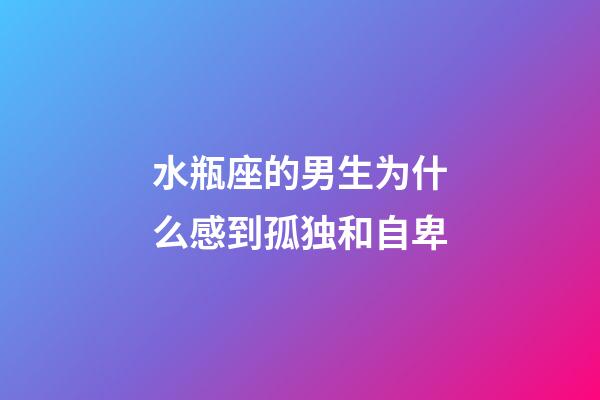 水瓶座的男生为什么感到孤独和自卑-第1张-星座运势-玄机派