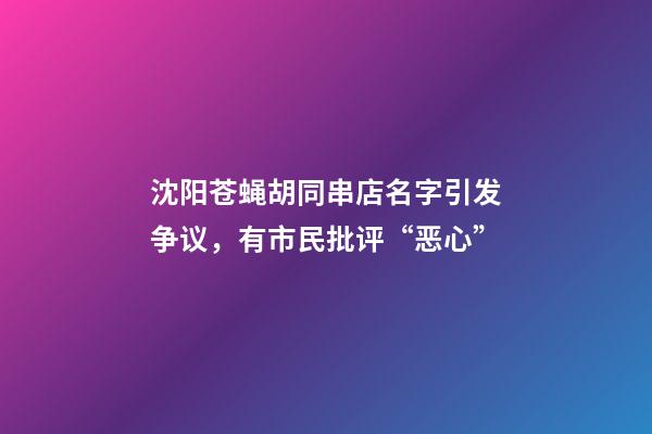 沈阳苍蝇胡同串店名字引发争议，有市民批评“恶心”-第1张-店铺起名-玄机派