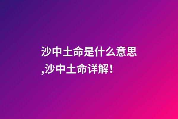 沙中土命是什么意思,沙中土命详解！