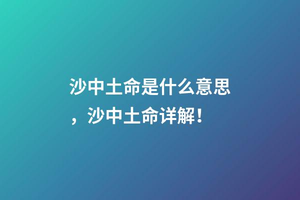 沙中土命是什么意思，沙中土命详解！