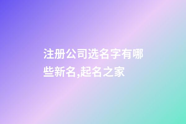 注册公司选名字有哪些新名,起名之家