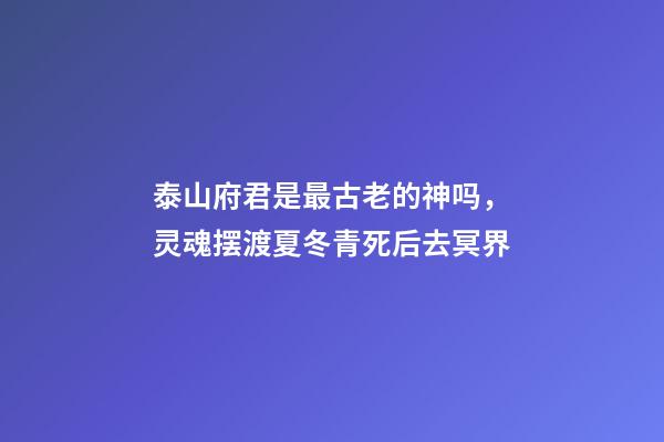 泰山府君是最古老的神吗，灵魂摆渡夏冬青死后去冥界-第1张-观点-玄机派