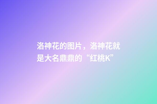 洛神花的图片，洛神花就是大名鼎鼎的“红桃K”-第1张-观点-玄机派