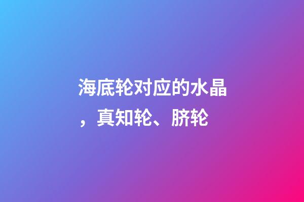 海底轮对应的水晶，真知轮、脐轮-第1张-观点-玄机派