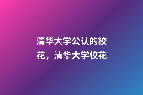 清华大学公认的校花，清华大学校花-第1张-观点-玄机派