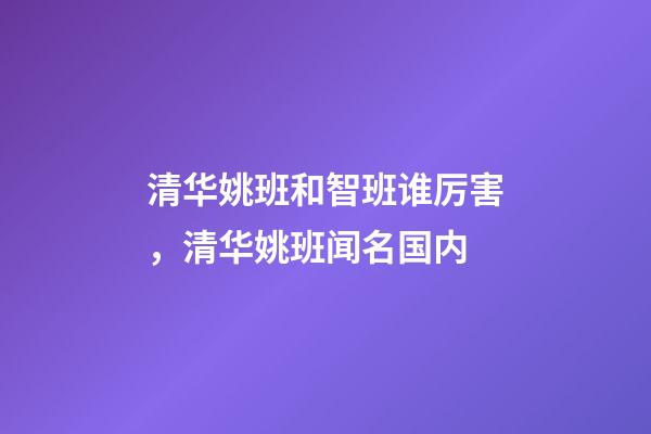 清华姚班和智班谁厉害，清华姚班闻名国内-第1张-观点-玄机派