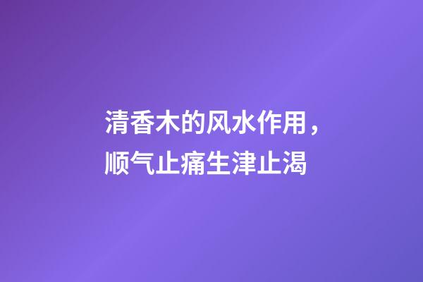 清香木的风水作用，顺气止痛生津止渴