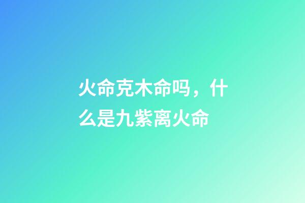 火命克木命吗，什么是九紫离火命-第1张-观点-玄机派