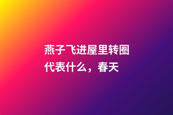 燕子飞进屋里转圈代表什么，春天-第1张-观点-玄机派