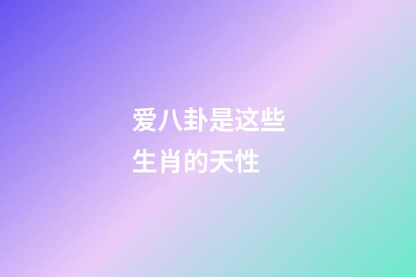 爱八卦是这些生肖的天性