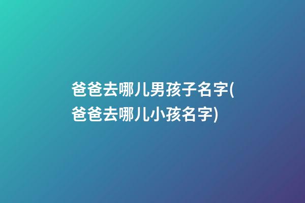 爸爸去哪儿男孩子名字(爸爸去哪儿小孩名字)