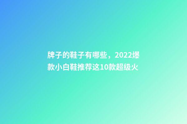 牌子的鞋子有哪些，2022爆款小白鞋推荐这10款超级火-第1张-观点-玄机派