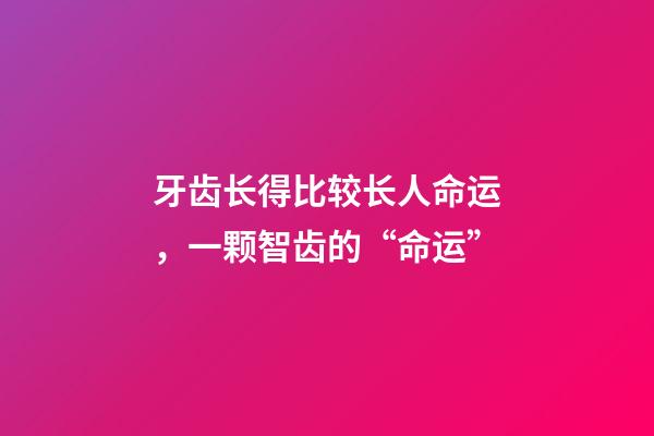 牙齿长得比较长人命运，一颗智齿的“命运”-第1张-观点-玄机派