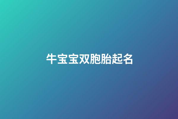 牛宝宝双胞胎起名(牛宝宝双胞胎取名大全2023款)-第1张-宝宝起名-玄机派