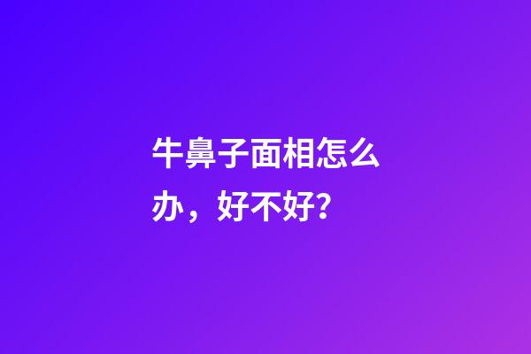 牛鼻子面相怎么办，好不好？