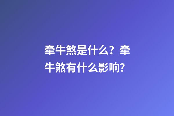 牵牛煞是什么？牵牛煞有什么影响？