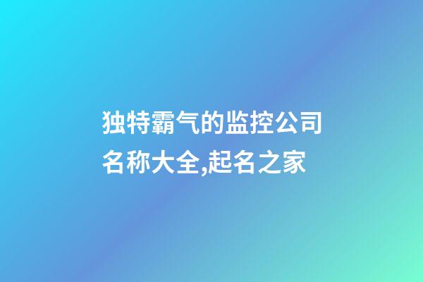 独特霸气的监控公司名称大全,起名之家-第1张-公司起名-玄机派