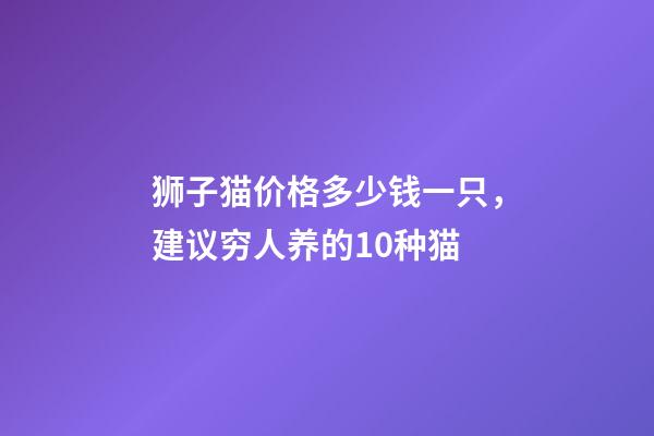 狮子猫价格多少钱一只，建议穷人养的10种猫-第1张-观点-玄机派