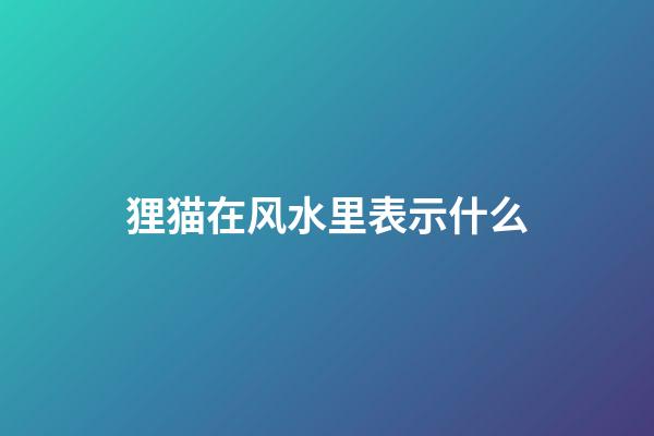 狸猫在风水里表示什么