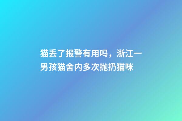 猫丢了报警有用吗，浙江一男孩猫舍内多次抛扔猫咪-第1张-观点-玄机派