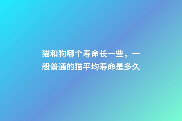 猫和狗哪个寿命长一些，一般普通的猫平均寿命是多久-第1张-观点-玄机派