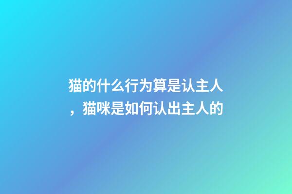 猫的什么行为算是认主人，猫咪是如何认出主人的-第1张-观点-玄机派