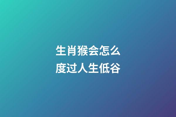 生肖猴会怎么度过人生低谷