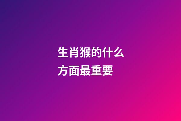 生肖猴的什么方面最重要