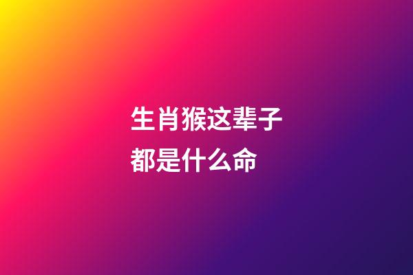 生肖猴这辈子都是什么命