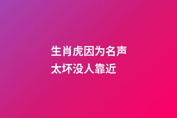 生肖虎因为名声太坏没人靠近