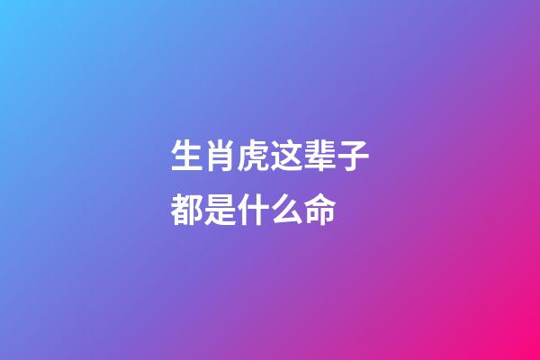 生肖虎这辈子都是什么命