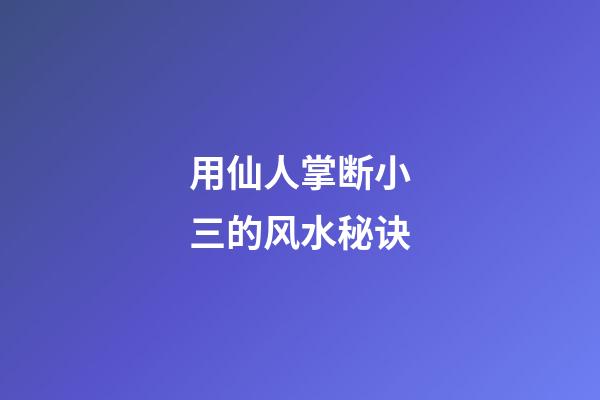 用仙人掌断小三的风水秘诀