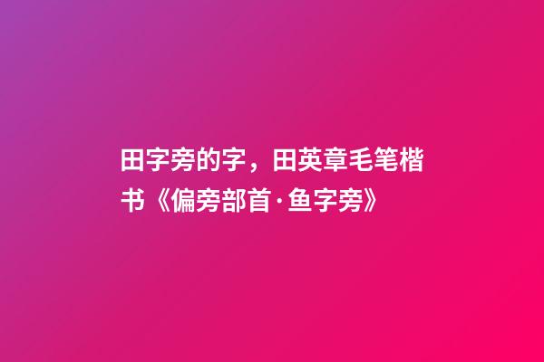 田字旁的字，田英章毛笔楷书《偏旁部首·鱼字旁》-第1张-观点-玄机派