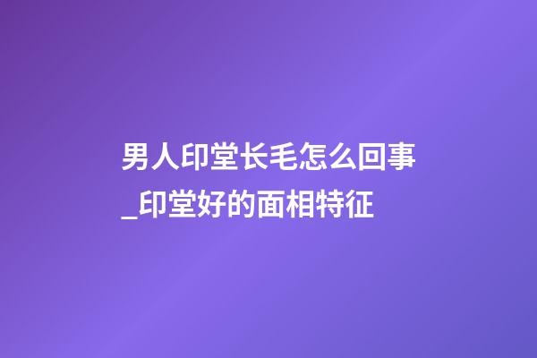 男人印堂长毛怎么回事_印堂好的面相特征