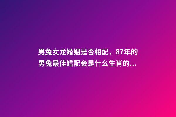 男兔女龙婚姻是否相配，87年的男兔最佳婚配会是什么生肖的女性-第1张-观点-玄机派