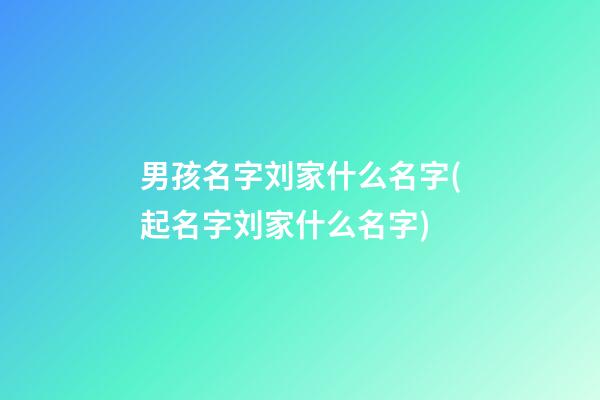 男孩名字刘家什么名字(起名字刘家什么名字)