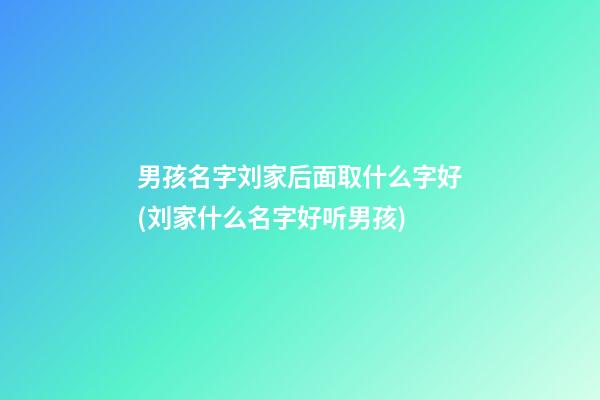 男孩名字刘家后面取什么字好(刘家什么名字好听男孩)