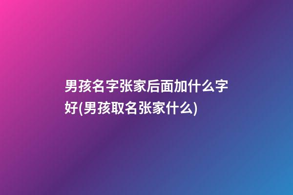 男孩名字张家后面加什么字好(男孩取名张家什么)