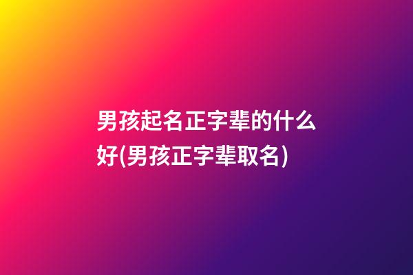 男孩起名正字辈的什么好(男孩正字辈取名)