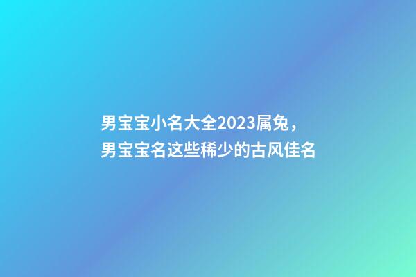 男宝宝小名大全2023属兔，男宝宝名这些稀少的古风佳名-第1张-观点-玄机派