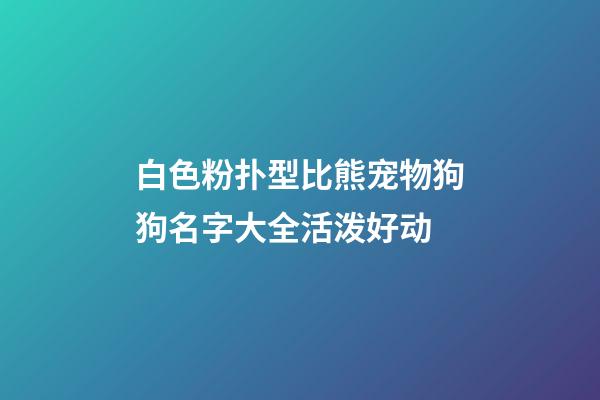 白色粉扑型比熊宠物狗狗名字大全活泼好动