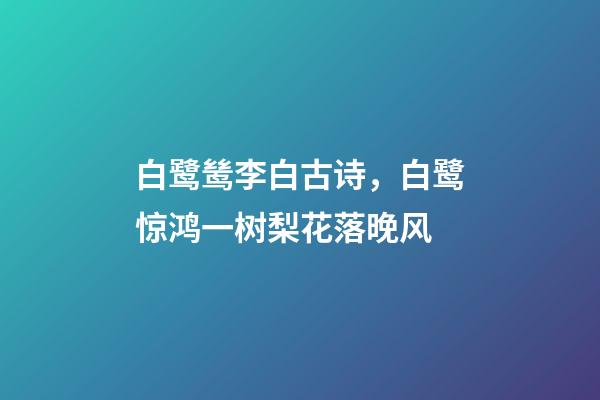 白鹭鸶李白古诗，白鹭惊鸿一树梨花落晚风-第1张-观点-玄机派