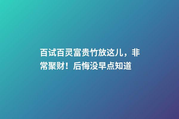 百试百灵富贵竹放这儿，非常聚财！后悔没早点知道