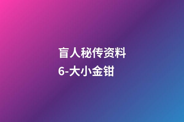 盲人秘传资料6-大小金钳