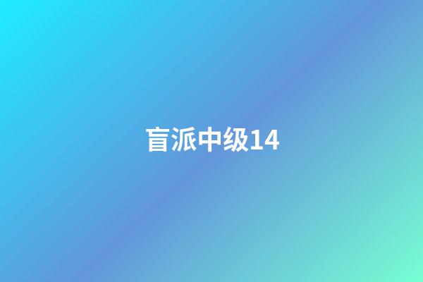 盲派中级14