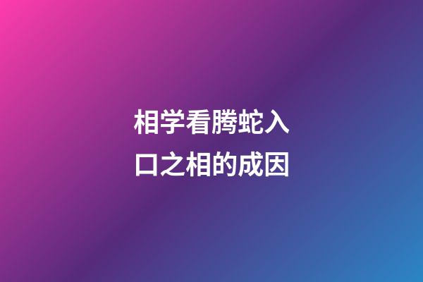 相学看腾蛇入口之相的成因