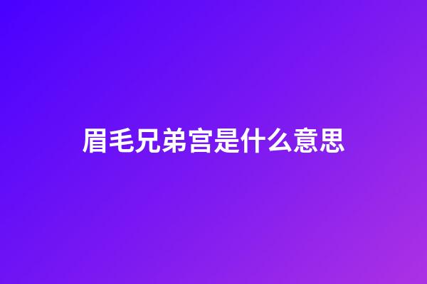 眉毛兄弟宫是什么意思