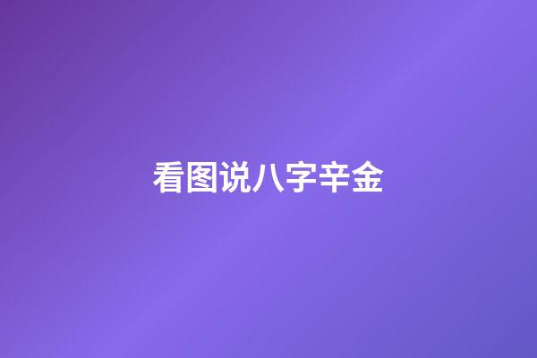 看图说八字辛金