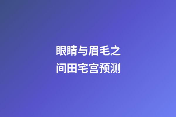 眼睛与眉毛之间田宅宫预测