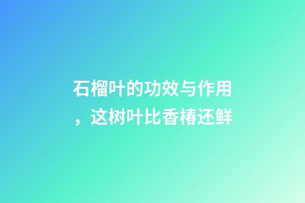 石榴叶的功效与作用，这树叶比香椿还鲜-第1张-观点-玄机派